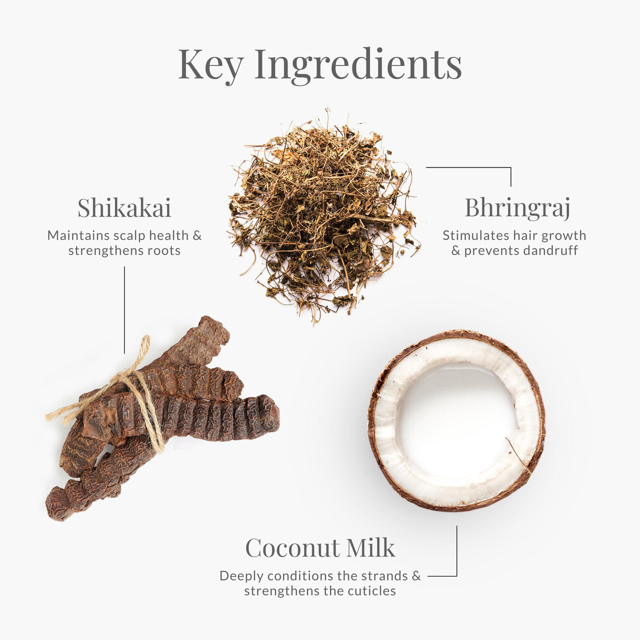 Forest Essentials Hair Conditioner With Coconut Milk, Licorice, Bhringraj & Shikakai, Natural Hair Conditioner To Deeply Nourish Dry, Normal Hair (Shikakai), SLS/SLES & Paraben Free, 200ml, (1 count)