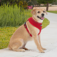 Aerolite No Pull Mesh Dog Harness with Lightweight, Soft, Breathable Chest Coverage, Reflective Stitching, and Adjustable Straps for Walking, Running, Training, Heavy Duty and Durable - Red, M