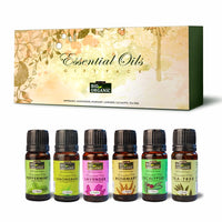 INDUS VALLEY 100% Pure Essential Oils Gift Pack - Peppermint oil,Lemongrass oil, Rosemary oil,Lavender oil,Eucalyptus oil,Tea Tree oil - 10ml * 6=60ml (Pack of 6)