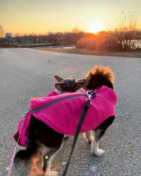 Gooby Zip Up Fleece Dog Sweater - Blue, Large - Warm Pullover Fleece Step-in Dog Jacket with Dual D Ring Leash - Winter Small Dog Sweater - Dog Clothes for Small Dogs Boy and Medium Dogs