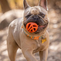 Chuckit Air Fetch Ball Dog Toy, Small (2 Inch Diameter), for dogs 0-20 lbs, Pack of 2
