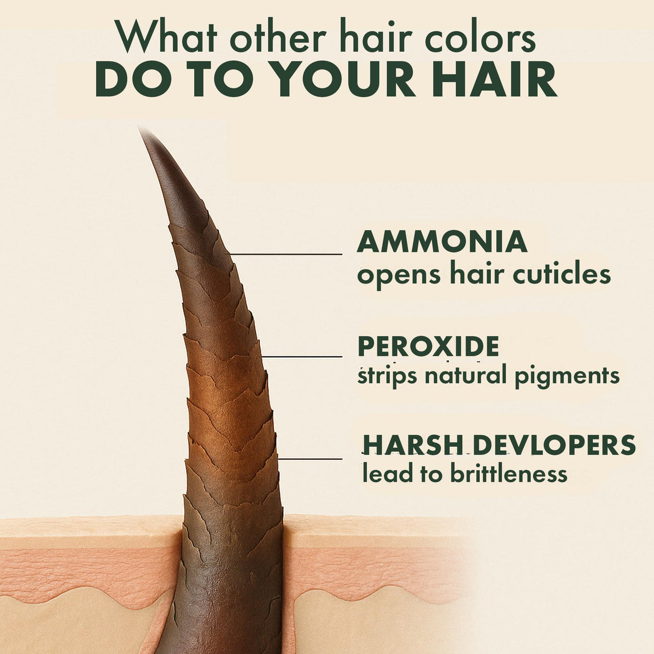 SACRED HERBS Ammonia & PPD Free Organic Gel Hair Color | pH Neutral | Long Lasting Colour with 100% Grey Coverage | Conditioning & Damage Free Natural Hair Coloring for Men & Women Burgundy 3.60 - 240ml+20gm