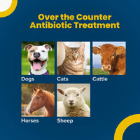 Terramycin Antibiotic Ointment for Eye Infection Treatment in Dogs, Cats, Cattle, Horses, and Sheep, 0.125oz Tube Modern
