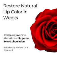Noor Skincare Rose Lip Scrub for Dark Lips, Bright and Smoky Removal, Exfoliator for Women/Men (15g)