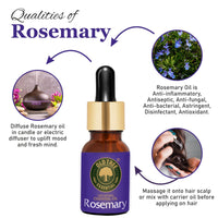 Old Tree Rosemary Essential Oil for Hair Growth for Women & Men (15ml) - Pure and Natural Oil with Dropper for Skin, Body, Diffuser, Aroma Therapy & Relaxation