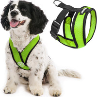 Gooby Comfort X Head In Harness - Green, Medium - No Pull Small Dog Harness Patented Choke-Free X Frame - Perfect on the Go Dog Harness for Medium Dogs No Pull or Small Dogs for Indoor and Outdoor Use