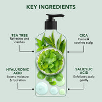 Botanic Hearth Restore & Repair Shampoo with Tea Tree Oil & Salicylic Acid | Clarifying & Anti-Dandruff Shampoo | Deep Cleanses & Soothes Scalp| Sulfate & Paraben Free, 473ml