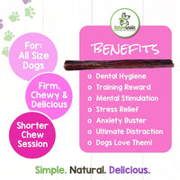 Nature Gnaws Beef Jerky Sticks for Dogs - Single Ingredient Beef Gullet Chew Treats - Simple Natural Delicious Dog Chews - Training Reward - 5-6 Inch 1 Count (Pack of 1)