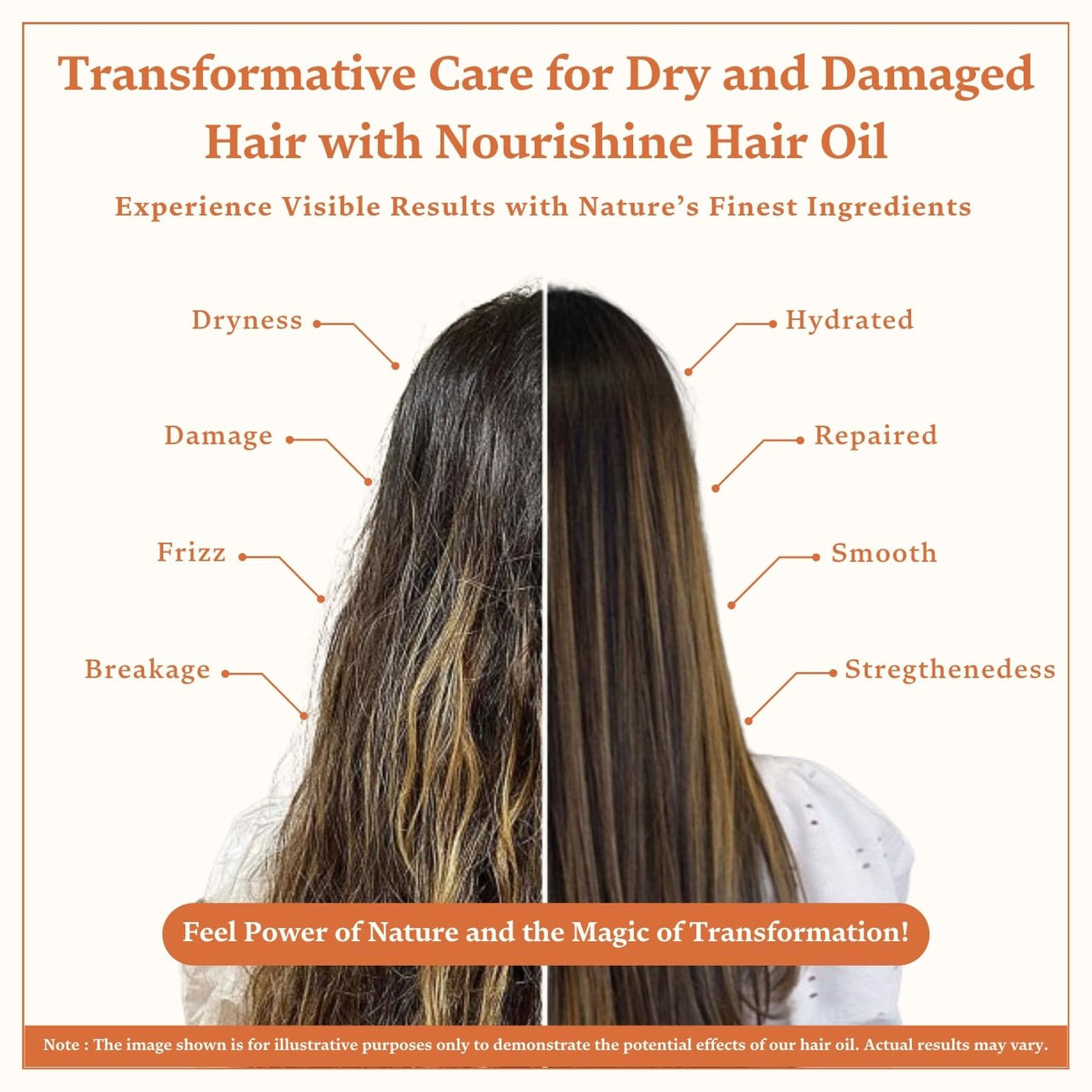 Singular Nourishine Hair Oil for Restores Hydration & Revitalizes Damaged Hair | Pure & Natural Cold Pressed Oil Infused with Nature's Best Coconut, Argan, Bhringraj, Amla, Jojoba Oil with Vitamin E | Ideal for Dry, Damaged & Chemically Treated Hair | 400