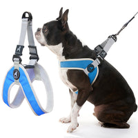 Gooby Simple Step in III Harness - Blue, X-Small - Small Dog Harness with Scratch Resistant Outer Vest - Soft Inner Mesh Harness for Small, Medium Dogs X-Small chest (12∼14.75