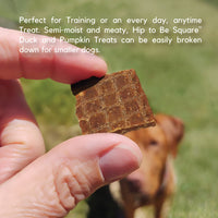 Lucy Pet Hip To Be Square Duck And Pumpkin Dog Treats 6Oz 6 Ounce (Pack of 1)