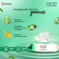 Lacto Calamine Daily Cleansing Facial Wipes 25N Each - Pack of 4 | Wet Wipes for Face with Aloe Vera, Cucumber & Vitamin E | Makeup Remover Wipes| Hydrating,Refreshing, Soothing|Paraben & Alcohol Free