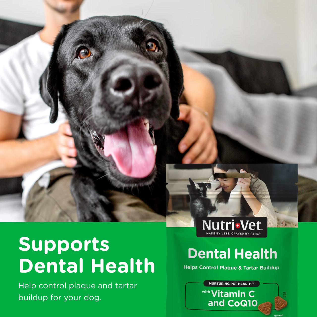 Nutri-Vet Dental Health Soft Chews for Dogs | Helps Control Plaque and Tartar Buildup | Natural Hickory Smoke Flavor | 70 Count , 6 oz