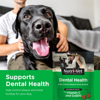 Nutri-Vet Dental Health Soft Chews for Dogs | Helps Control Plaque and Tartar Buildup | Natural Hickory Smoke Flavor | 70 Count , 6 oz