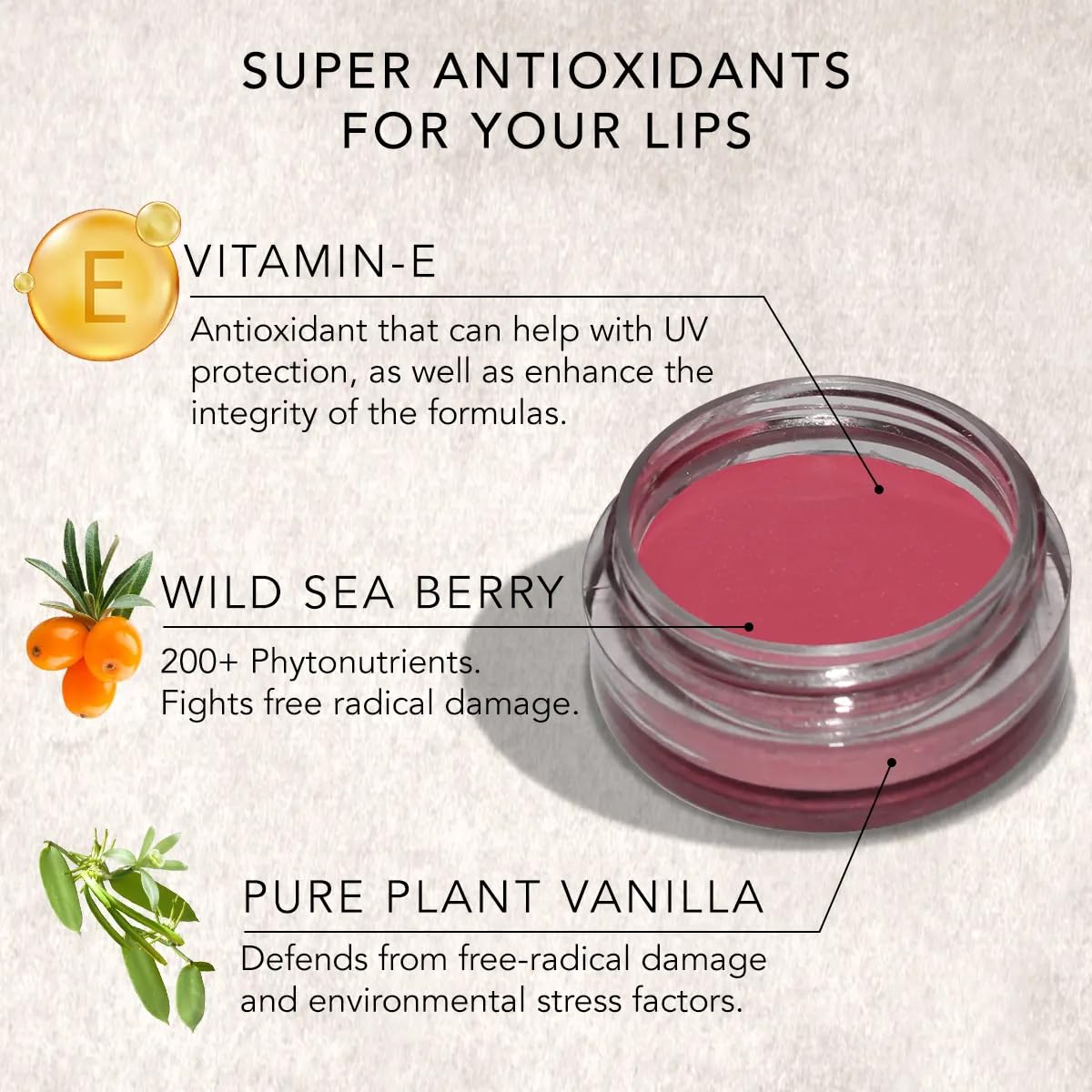 DAUGHTER EARTH Vegan Lip and Cheek Tint Combo | Matte Natural Blush for Women | Lip Tint with Vitamin E | Nourishing Cheek Tint | Pack of 2 | 4.5 gm Each (Foncee Red & Coffee Nude)