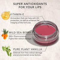 DAUGHTER EARTH Vegan Lip and Cheek Tint Combo | Matte Natural Blush for Women | Lip Tint with Vitamin E | Nourishing Cheek Tint | Pack of 2 | 4.5 gm Each (Foncee Red & Coffee Nude)