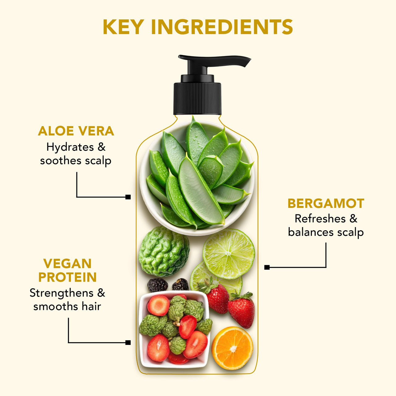 Botanic Hearth Hydrate & Soften Shampoo with Ceramide & Aloe Vera | Deep Moisture & Hair Repair | Strengthens & Smoothens Strands |Enhances Softness & Shine, 473ml