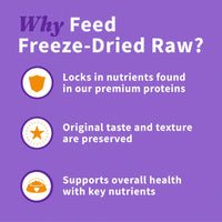 Halo Raw Freeze Dried Dog Treats, Chicken Hearts Recipe, Dog Treats Pouch, All Life Stages, 2-OZ Pouch 2 Ounce (Pack of 1)
