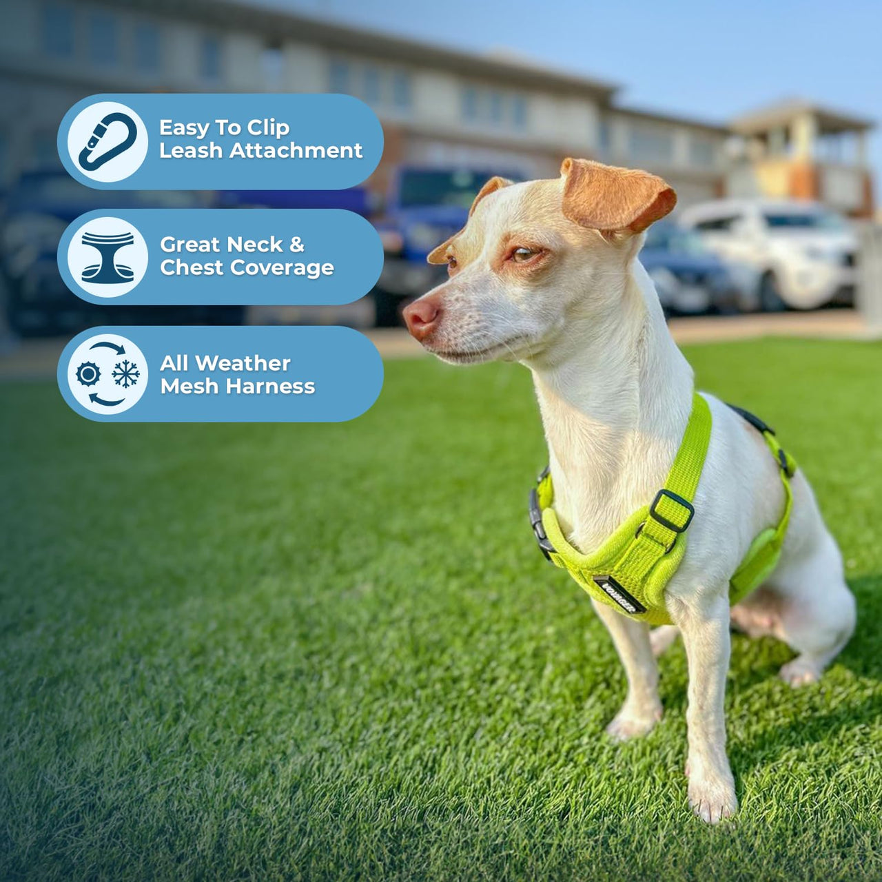 Voyager Step-in Air Cat Harness - All Weather Mesh Step in Vest Harness for Small and Medium Cats by Best Pet Supplies - Harness (Lime Green), XXXS (Chest: 9.5-10.5") Harness (Lime Green) XXXS (Chest: 10 - 11.5" * Fit Cats)