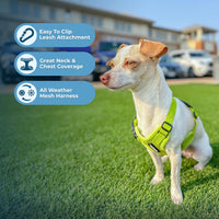 Voyager Step-in Air Cat Harness - All Weather Mesh Step in Vest Harness for Small and Medium Cats by Best Pet Supplies - Harness (Lime Green), XXXS (Chest: 9.5-10.5
