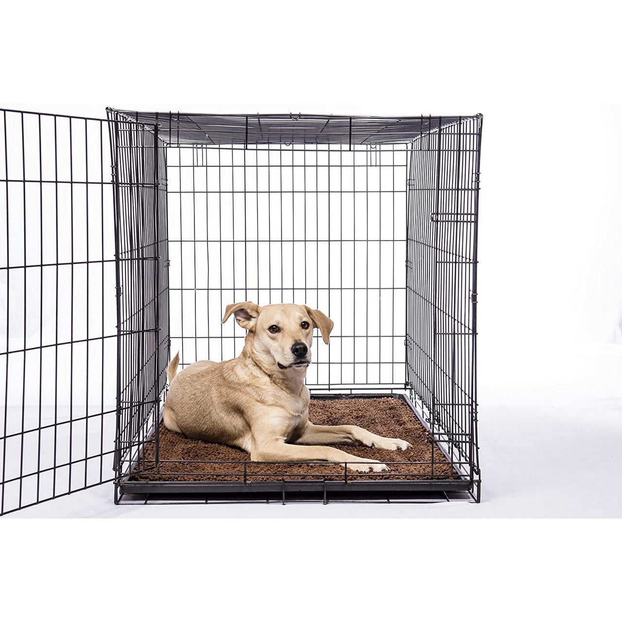 Dog Gone Smart Dirty Dog Microfiber Paw Doormat - Muddy Mats For Dogs - Super Absorbent Dog Mat Keeps Paws & Floors Clean - Machine Washable Pet Door Rugs with Non-Slip Backing | Small Petrol 23" x 16"