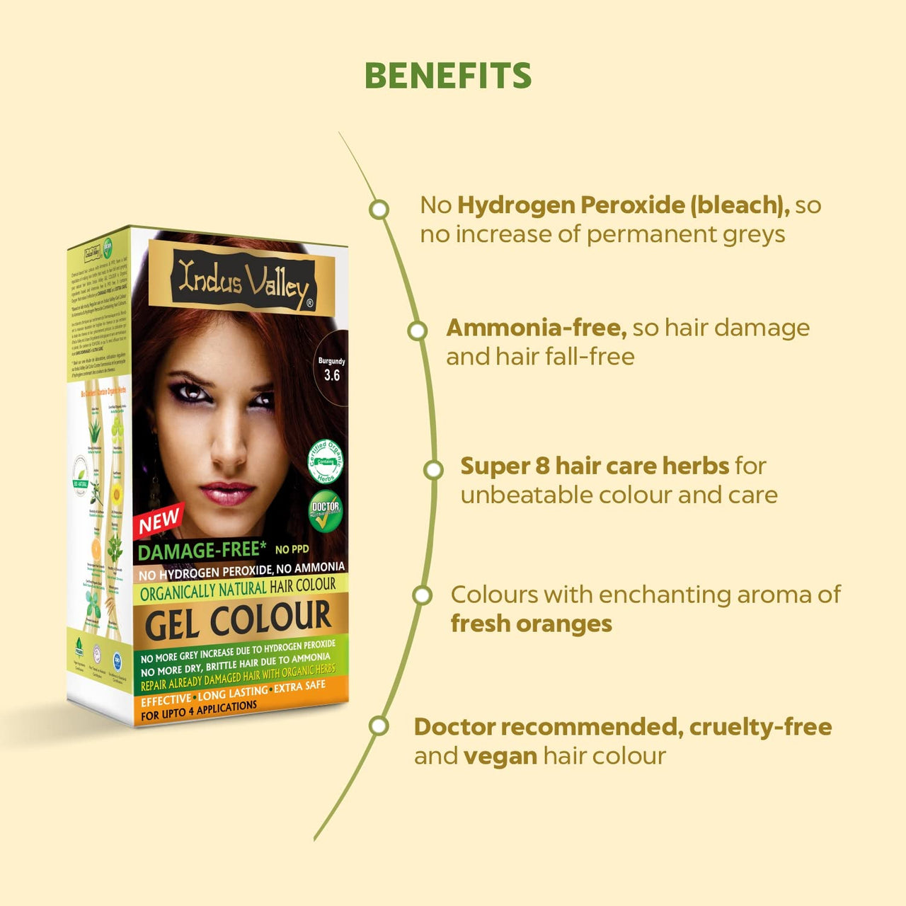 INDUS VALLEY Ammonia Free Natural Semi-Permanent Gel Hair Colour Burgundy 3.6 for Men & Women with 100% Grey Coverage & Long Lasting -220GM (pack of 3)