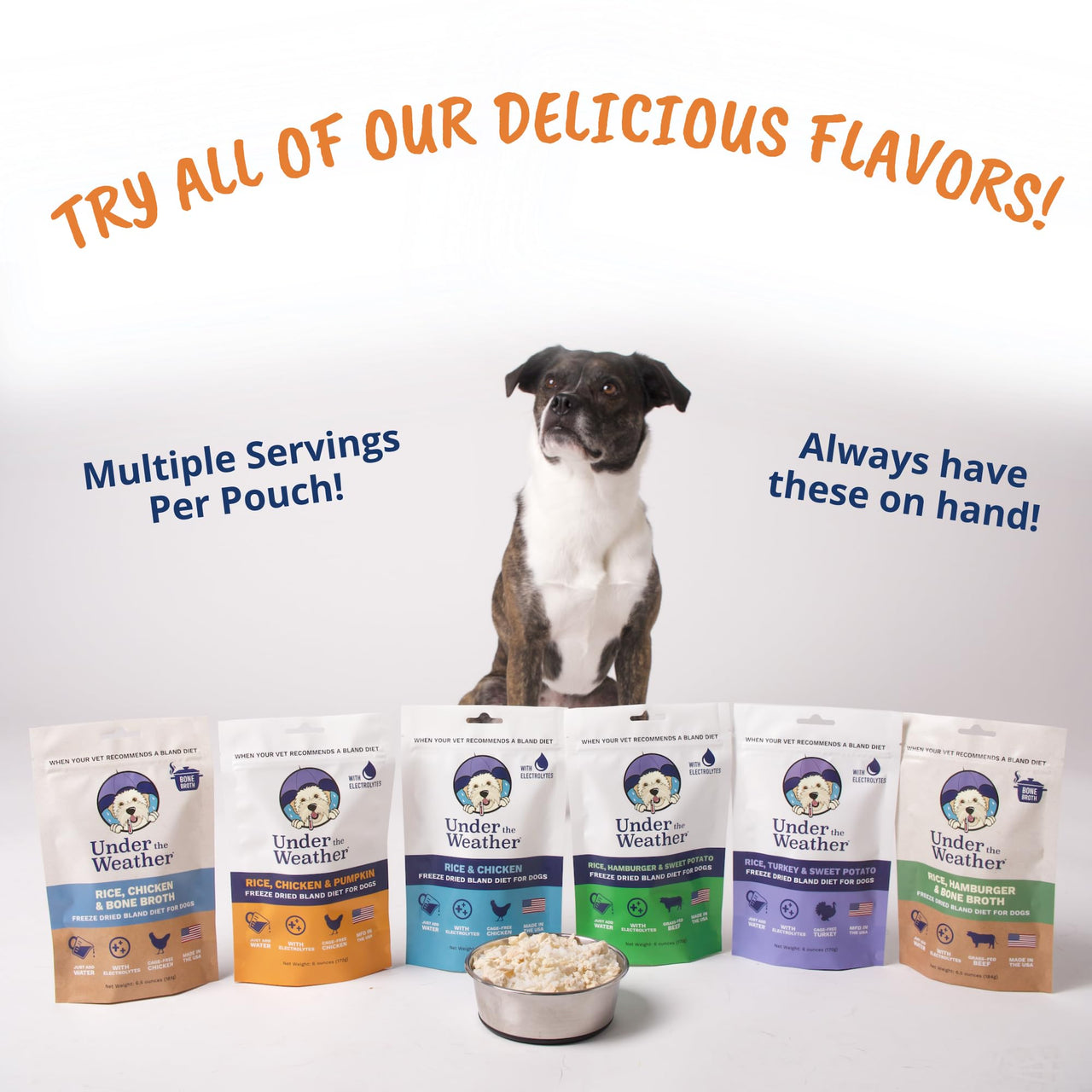 Under the Weather Easy to Digest Bland Diet for Sick Dogs - Always Be Ready - Contains Electrolytes - Gluten Free, All Natural, Freeze Dried 100% Human Grade Meats - Hamburger, Rice & Sweet Potato Rice, Hamburger & Sweet Potato 6 Ounce (Pack of 1)