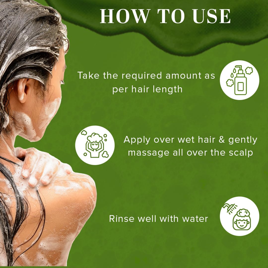 Khadi Natural Amla & Reetha Hair Shampoo | Anti-Hair Fall Shampoo | Shampoo for Thick & Strong Hair | Ayurvedic Shampoo for Healthy Hair | Suitable for All Hair|Pack of 2 | (210 * 2) (420 ml)