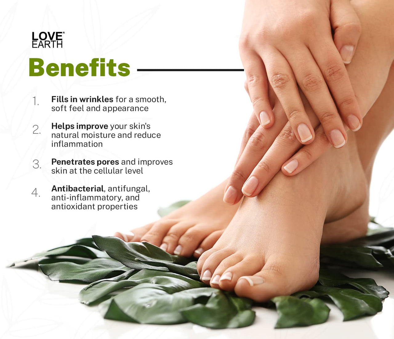 Love Earth Organic Foot Cream With Green Tea & Jojoba Oil For Cracked Dry and Rough Heels 50gm