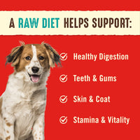 Stella & Chewy's  Freeze Dried Raw Dinner Patties – Grain Free Dog Food, Protein Rich Surf ‘N Turf Salmon & Beef Recipe – 25 oz Bag 1.56 Pound (Pack of 1)