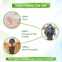 Mamaearth BhringAmla Shampoo for dry & frizzy hair with Bhringraj & Amla for Intense Hair Treatment – 250 ml