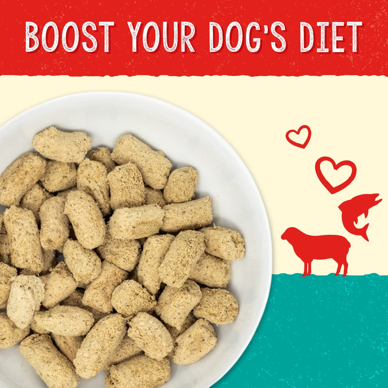 Stella & Chewy's  Stella's  Solutions Skin & Coat Boost Grass-Fed Lamb & Wild-Caught Salmon Dinner Morsels Freeze-Dried Raw Dog Food, 13 oz (SOL-FDLSSC-13) Lamb & Salmon (Skin & Coat Boost) 13 Ounce (Pack of 1)