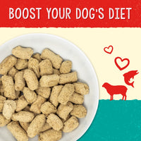 Stella & Chewy's  Stella's  Solutions Skin & Coat Boost Grass-Fed Lamb & Wild-Caught Salmon Dinner Morsels Freeze-Dried Raw Dog Food, 13 oz (SOL-FDLSSC-13) Lamb & Salmon (Skin & Coat Boost) 13 Ounce (Pack of 1)