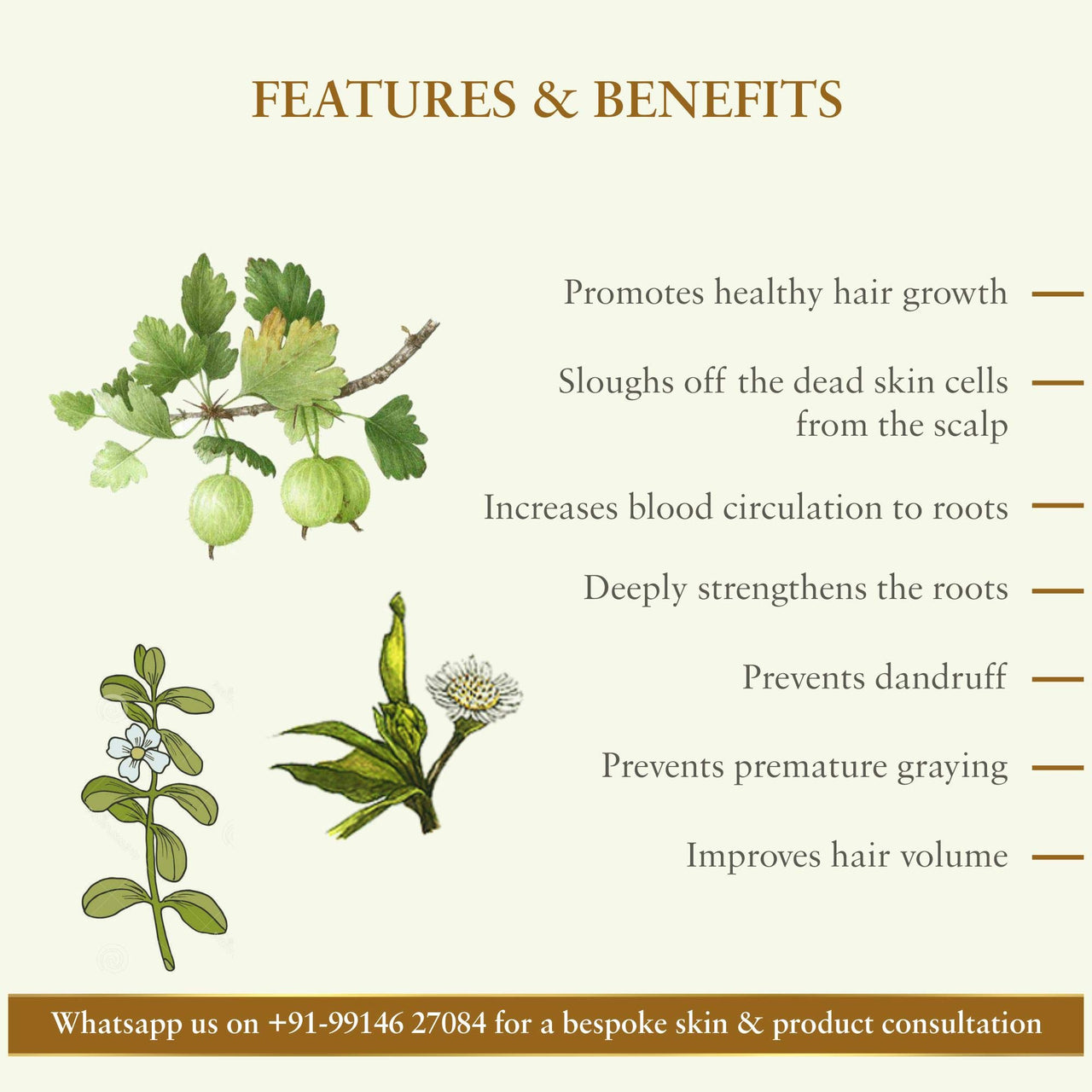 Just Herbs Ayurvedic Kumuda Indian White Waterlily Silicone free Hair Conditioner, For all Hair Type, Sulphate & Paraben Free - 200 ML & Just Herbs Bhringraj Oil | 100% Natural & Certified Ayurvedic