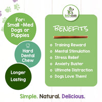 Nature Gnaws Small Bully Sticks for Dogs - Premium Natural Beef Dental Bones - Long Lasting Dog Chew Treats for Small Dogs & Puppies - Rawhide Free