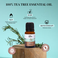 Just Herbs Tea Tree Steam 100% Pure Distilled Essential Oil for Hair | Skin | Fights Acne | Exfoliates Skin | Aromatherapy Relives Stress for Men and Women (10 ml)