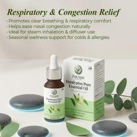 Zenaum Essences 100% Natural Eucalyptus Therapeutic Grade Essential Oil | 45ml (Pack of 3) | Respiratory Relief, Muscle Soothing & Aromatherapy | Sourced from Yunan, India | GMP, ISO & IFRA Certified