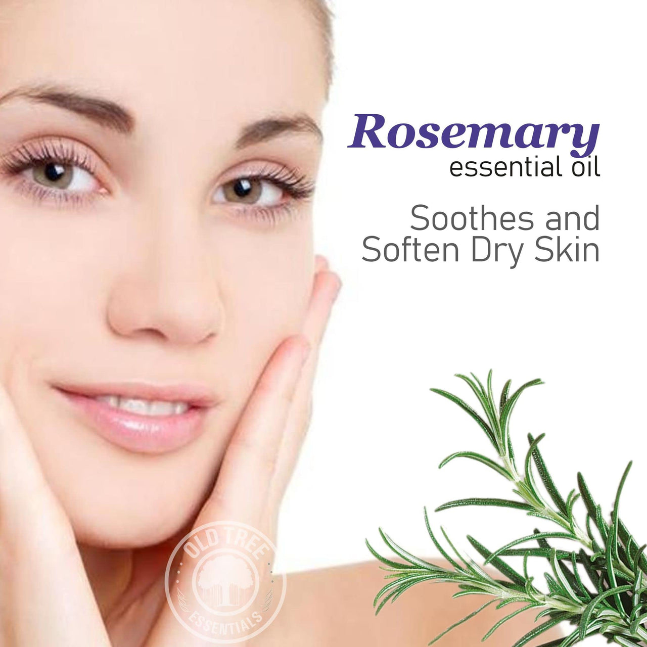 Old Tree Rosemary Essential Oil for Hair Growth for Women & Men (15ml) - Pure and Natural Oil with Dropper for Skin, Body, Diffuser, Aroma Therapy & Relaxation