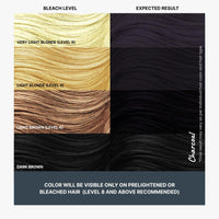 2.Oh! Italian- Charcoal Hair Color For Women & Men | Ammonia-Free DIY Semi Permanent Hair Color | Enriched with Argan Oil | Lasts upto 12-15 Washes