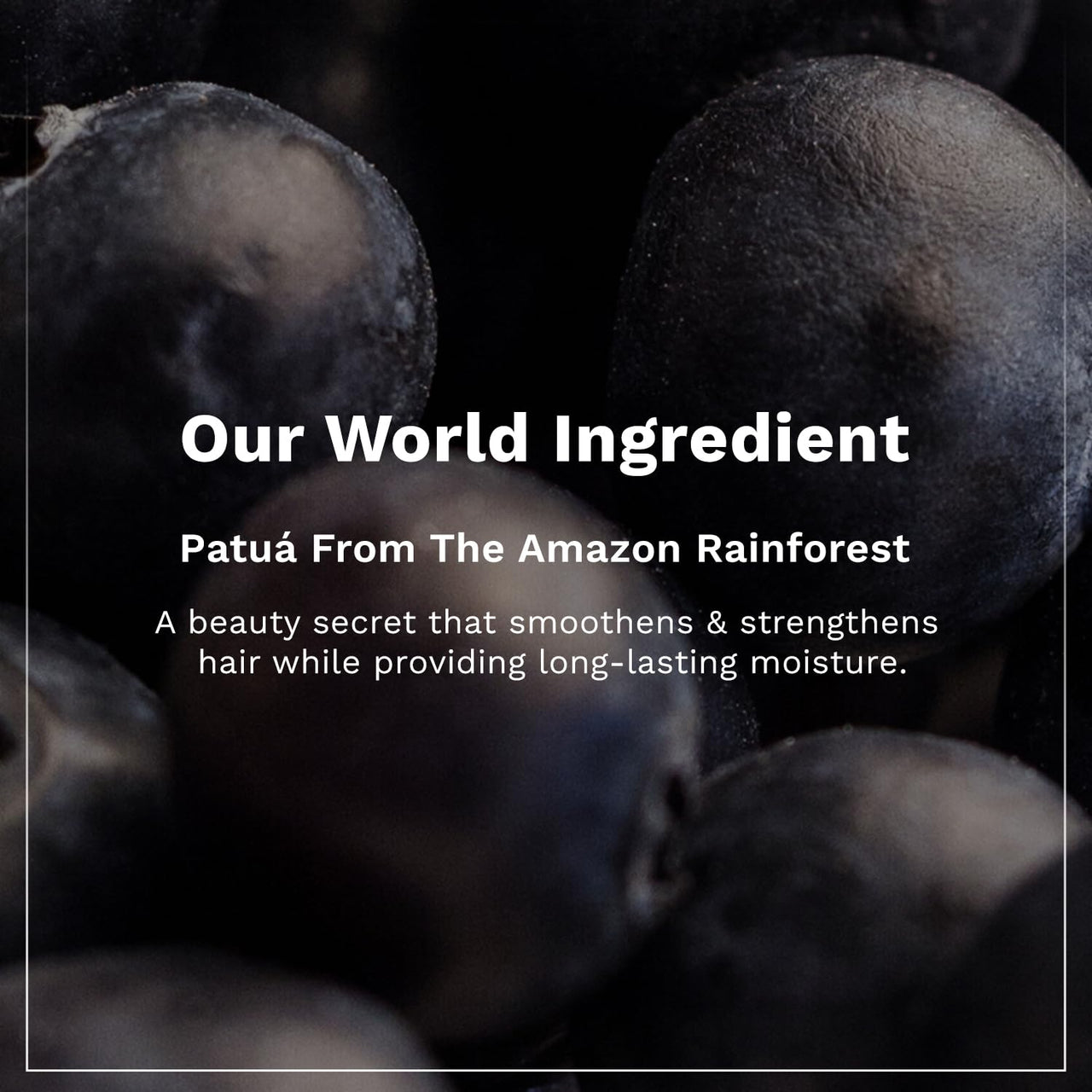 Pilgrim Patuá & Keratin Hair SMOOTHENING SHAMPOO for Dry & Frizzy hair | Sulphate & Paraben free shampoo for Women & Men | Hair Smoothening & healthy scalp | 200 ml