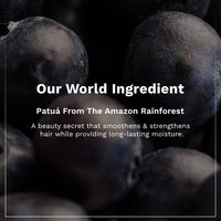 Pilgrim Patuá & Keratin Hair SMOOTHENING SHAMPOO for Dry & Frizzy hair | Sulphate & Paraben free shampoo for Women & Men | Hair Smoothening & healthy scalp | 200 ml