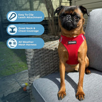 Voyager Step-in Air Dog Harness - All Weather Soft & Breathable Mesh Step in Vest Harness for Small and Medium Dogs and Cats by Best Pet Supplies - Harness (Red), XS (Chest: 13-14.5