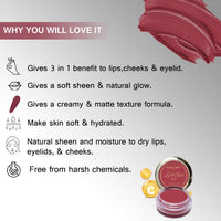 Seven Seas Lips & Cheek Tint Combo Pack of 2 | Matte Natural Blush for Women | Lip Tint with Vitamin E | Nourishing Cheek Tint (Hippie Pink)