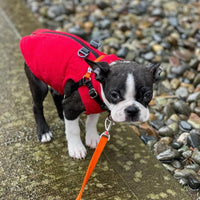 Gooby Zip Up Fleece Dog Sweater - Red, X-Large - Warm Pullover Fleece Step-in Dog Jacket with Dual D Ring Leash - Winter Small Dog Sweater - Dog Clothes for Small Dogs Boy and Medium Dogs X-Large chest (~22.5
