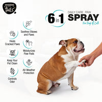Wagging Tails Daily Care Paw Spray for Summer Walk- 100ml for Dirty, Dry, chapped and Muddy Paws | Natural Spray with Fragrance for Dogs, Cats and Puppies paw - Dog paw Clener Spray