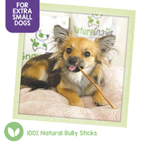 Nature Gnaws - Extra Thin Bully Sticks for Dogs - Premium Natural Beef Bones - Long Lasting Dog Chew Treats for Small Dogs & Puppies - Rawhide Free - 6 Inch 1 Count (Pack of 1)