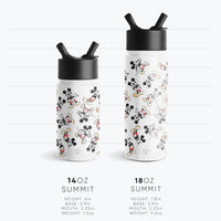 Simple Modern Disney Princess Cinderella Kids Water Bottle with Straw Lid | Reusable Insulated Stainless Steel Cup for Grils, School | Summit Collection | 14oz, Cinderella Floral Wishes