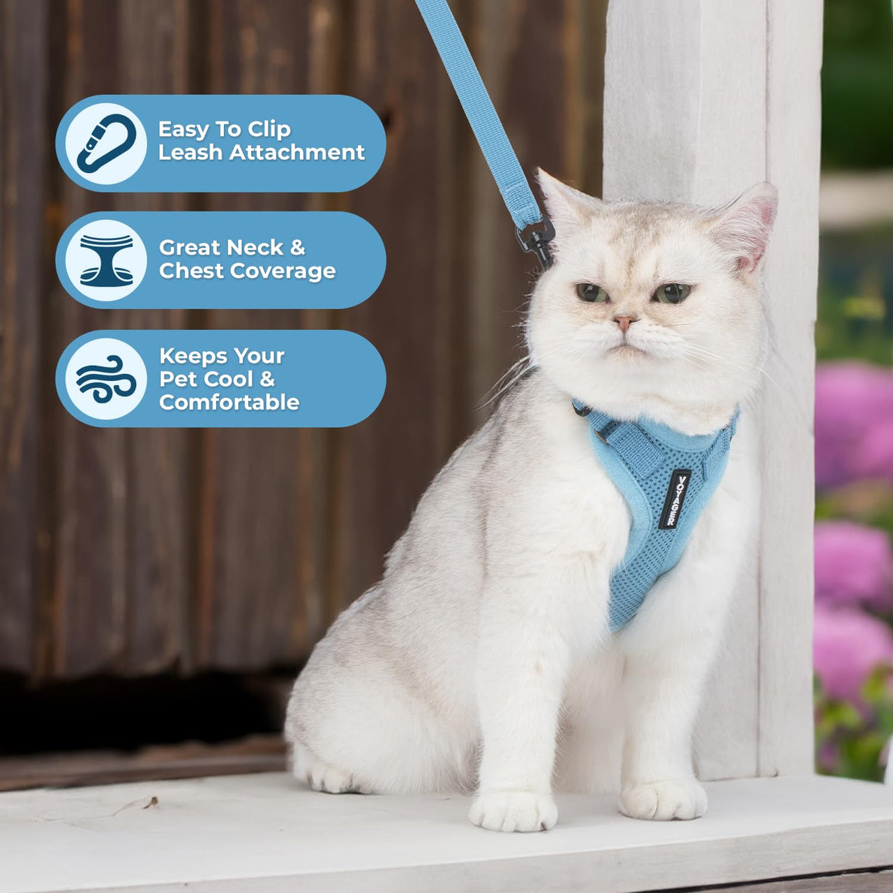 Voyager Step-in Lock Cat Harness w Reflective Cat Leash Combo Set with Neoprene Handle 5ft - Supports Small, Medium and Large Breed Cats by Best Pet Supplies - Baby Blue, XXS Harness Leash Set (Baby Blue) XXS (Chest: 11.5 - 14" * Fit Cats)