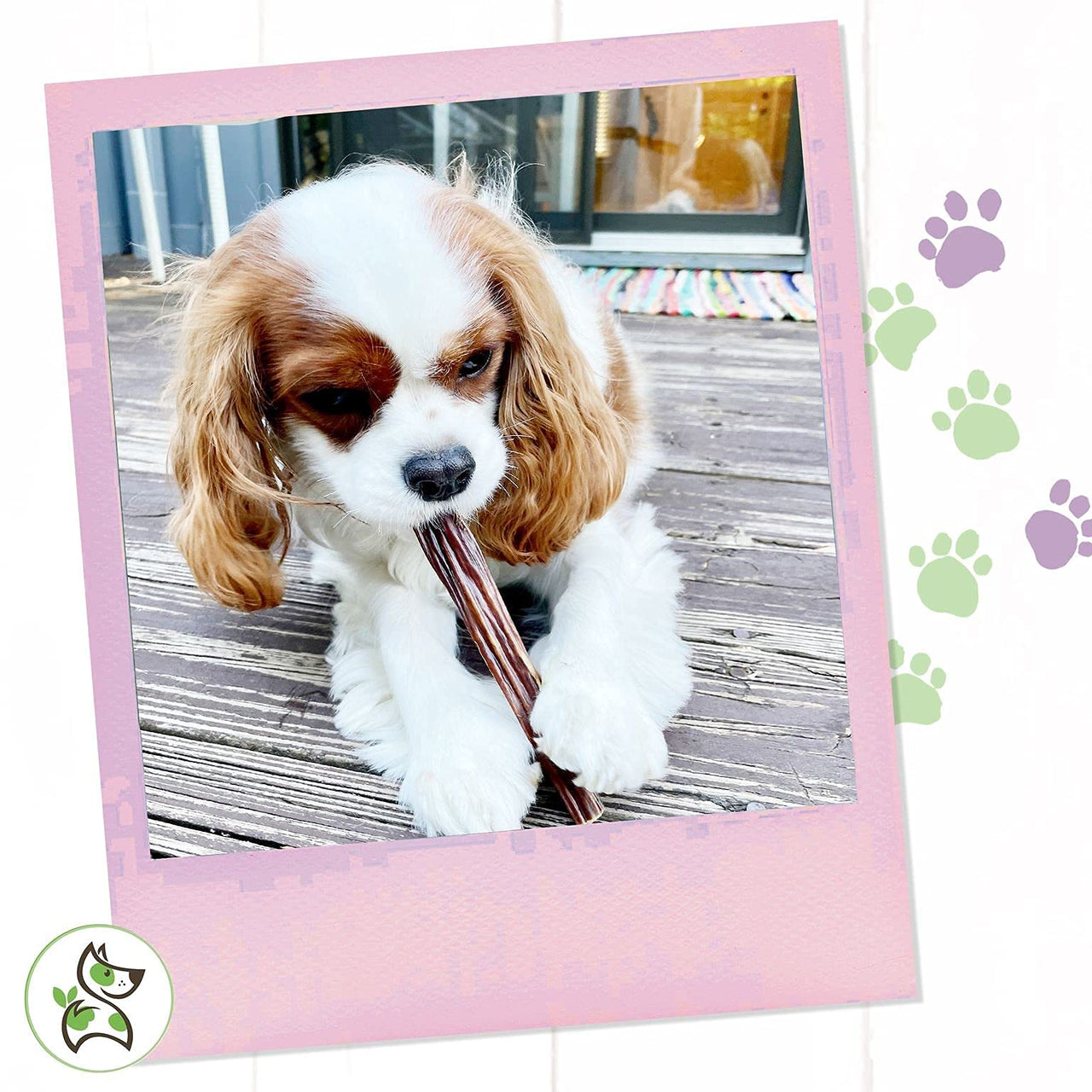 Nature Gnaws Beef Jerky Sticks for Dogs - Single Ingredient Beef Gullet Chew Treats - Simple Natural Delicious Dog Chews - Training Reward - 5-6 Inch 1 Count (Pack of 1)