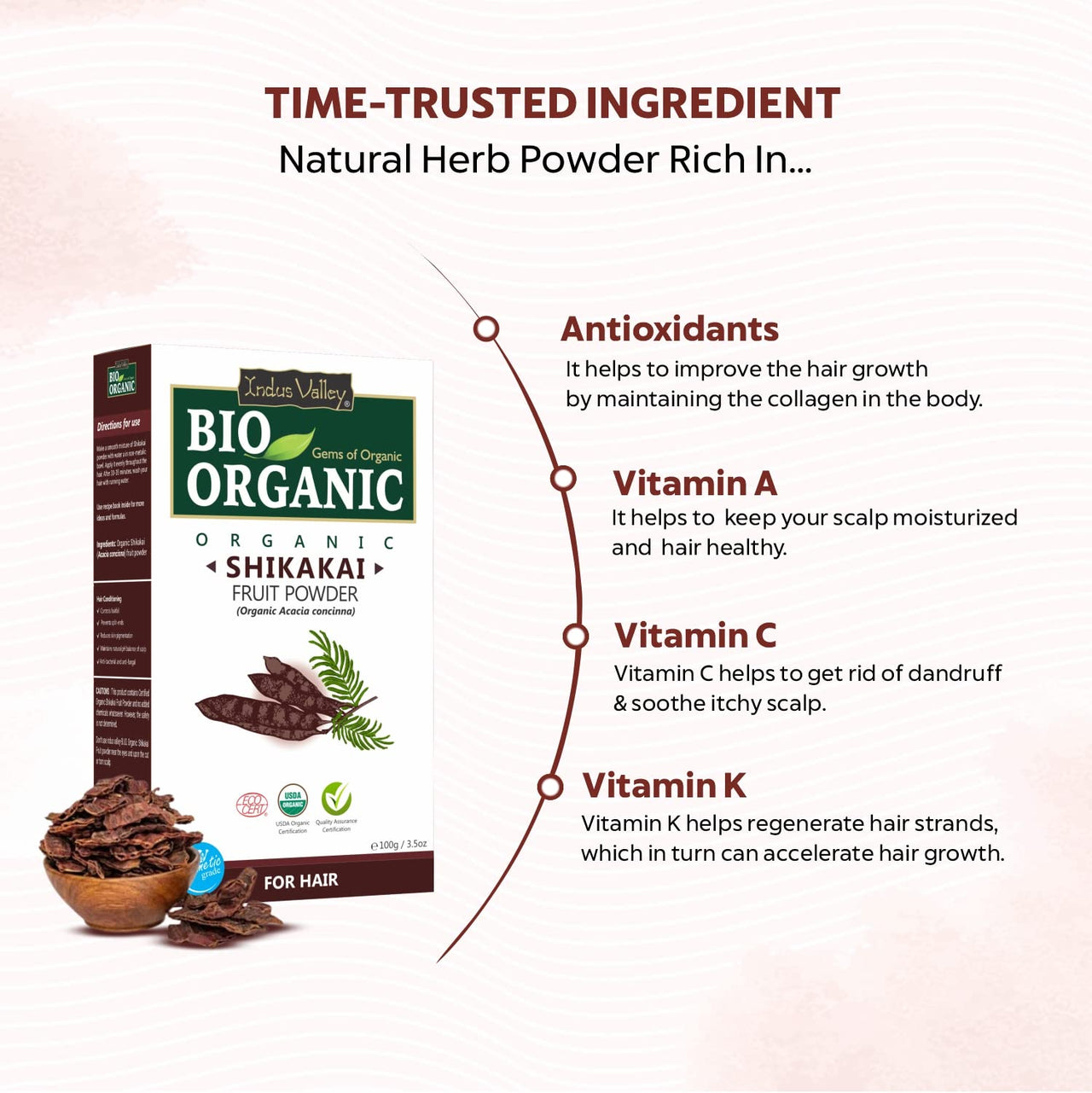 INDUS VALLEY 100% Natural Shikakai Powder | Acacia concinna for skin and hair care - Set of 4 (400g)